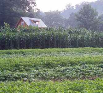 Salamander Springs Farm: Permaculture Farm in the Appalachian Mountains Image